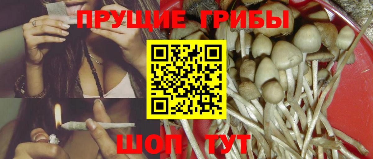Псилоцибиновые грибы ЛСД  Вход с VPN  Киров 